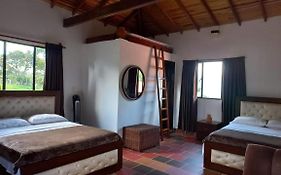 Villa Paulina